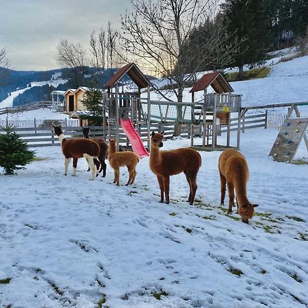 Laubichlhof Leilighet Flachau Eksteriør bilde