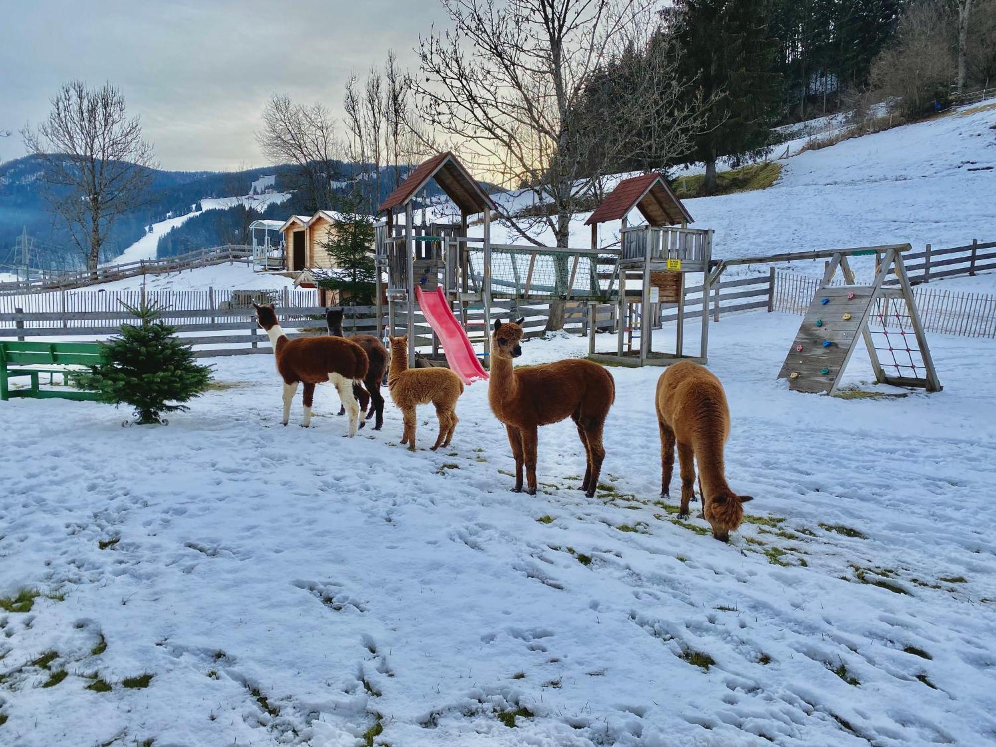 Laubichlhof Leilighet Flachau Eksteriør bilde