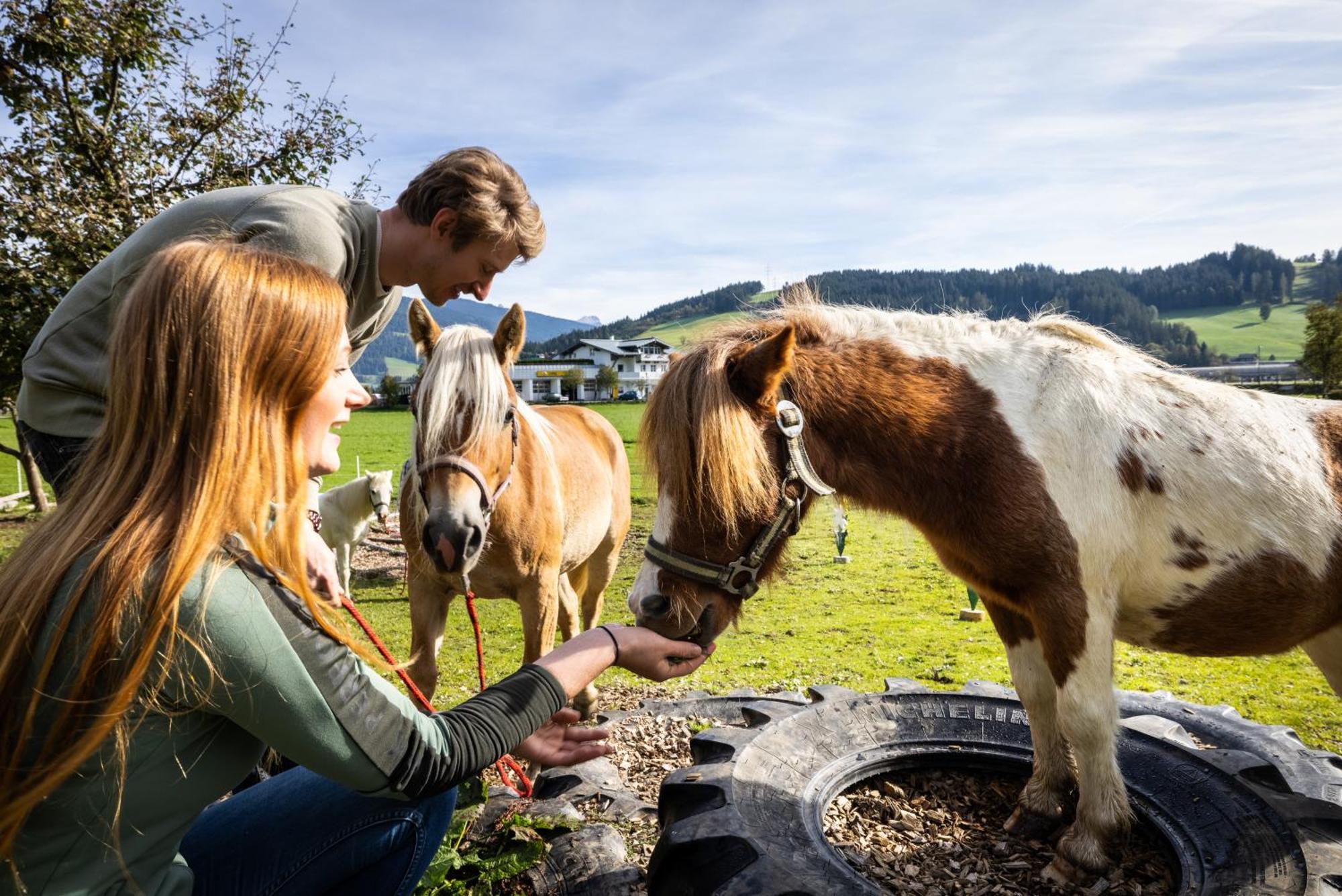Laubichlhof Leilighet Flachau Eksteriør bilde