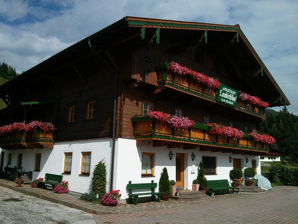 Laubichlhof Leilighet Flachau Rom bilde